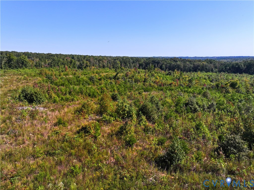 0 Redd Shop Road Farmville, VA 23901 - Photo 17 of 25 a view of a field with an outdoor space