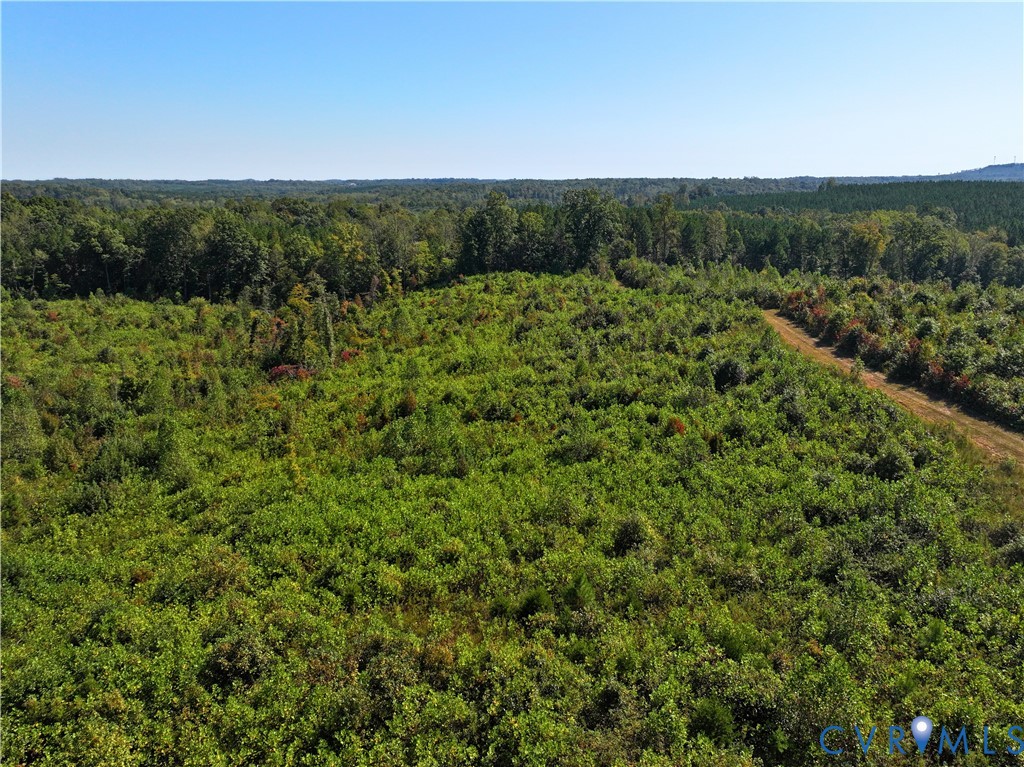 0 Redd Shop Road Farmville, VA 23901 - Photo 19 of 25 a view of a green field with lots of bushes