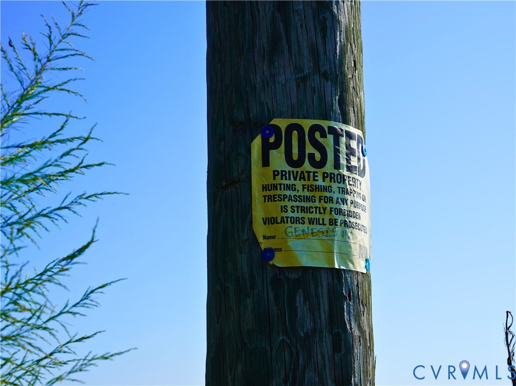 0 Redd Shop Road Farmville, VA 23901 - Photo 20 of 25 a green field with plants