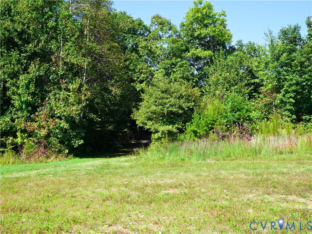 0 Redd Shop Road Farmville, VA 23901 - Photo 2 of 25 a view of garden with trees