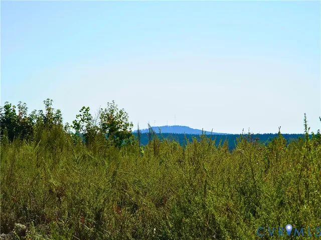 a view of a golf course with a garden