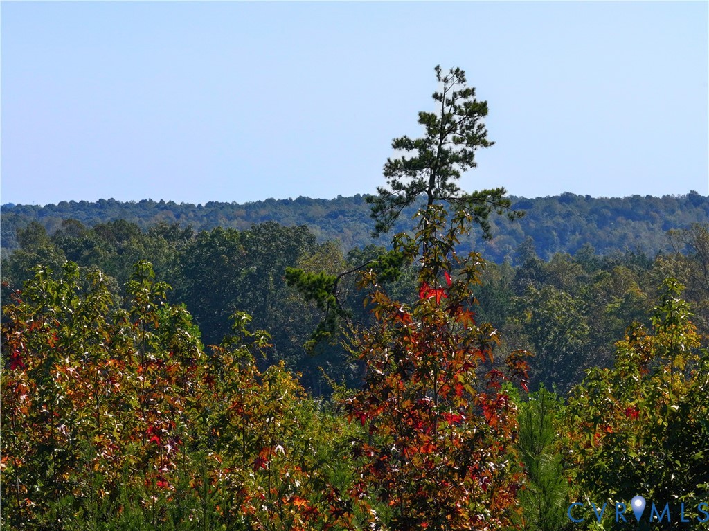 0 Redd Shop Road Farmville, VA 23901 - Photo 4 of 25 a view of a house with a mountain in the background