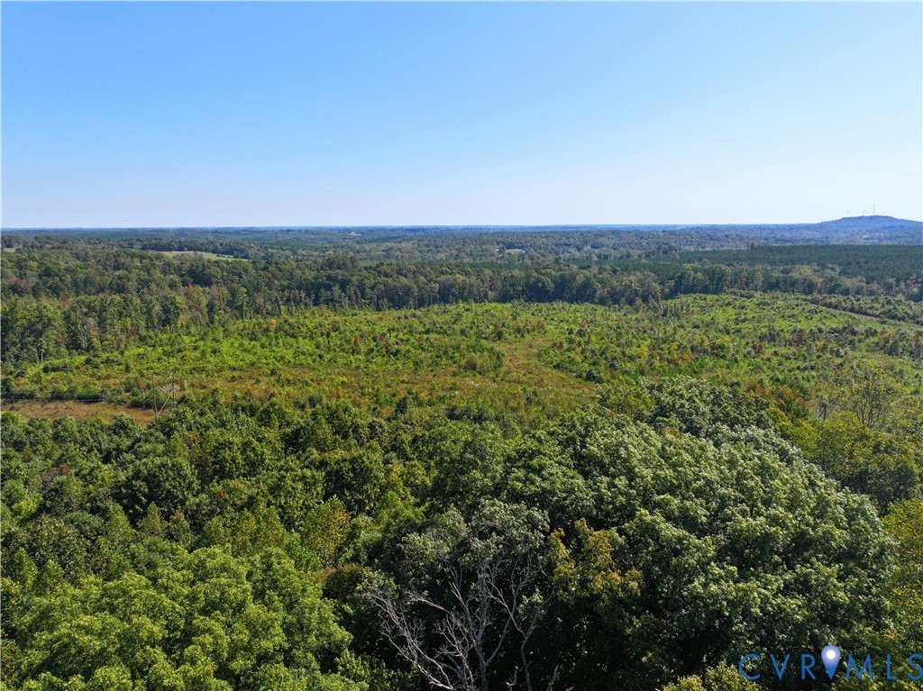 0 Redd Shop Road Farmville, VA 23901 - Photo 5 of 25 a view of a large yard with lots of green space