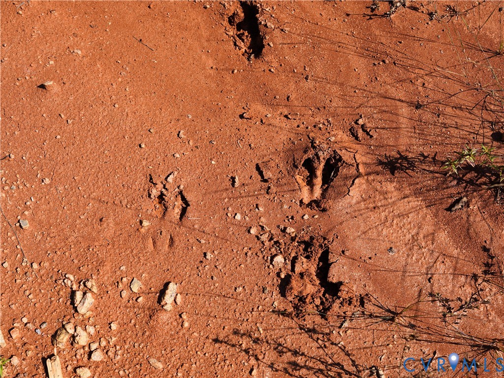 0 Redd Shop Road Farmville, VA 23901 - Photo 6 of 25