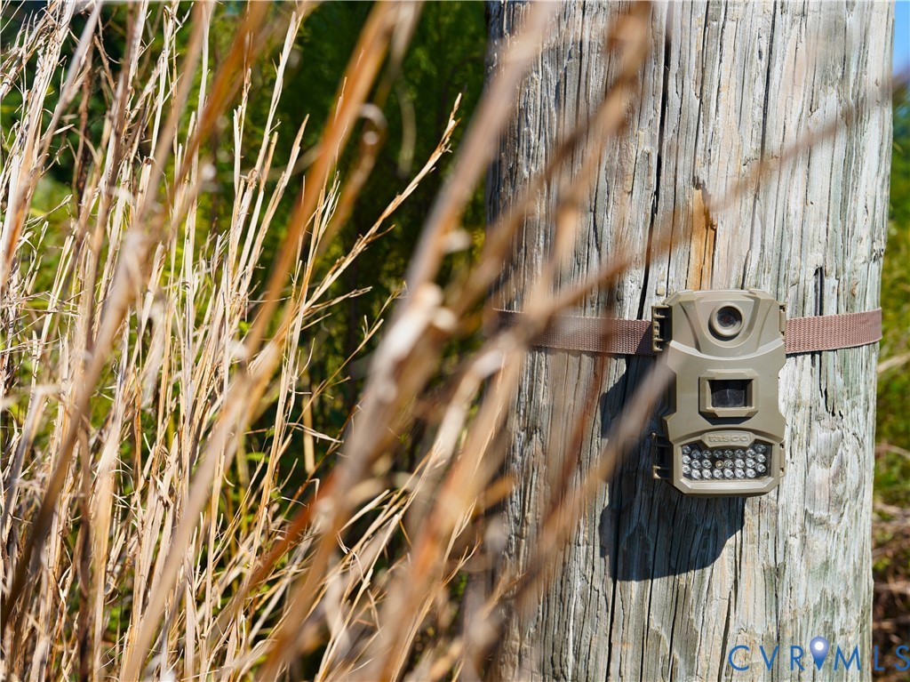 0 Redd Shop Road Farmville, VA 23901 - Photo 8 of 25 a close up of a street sign