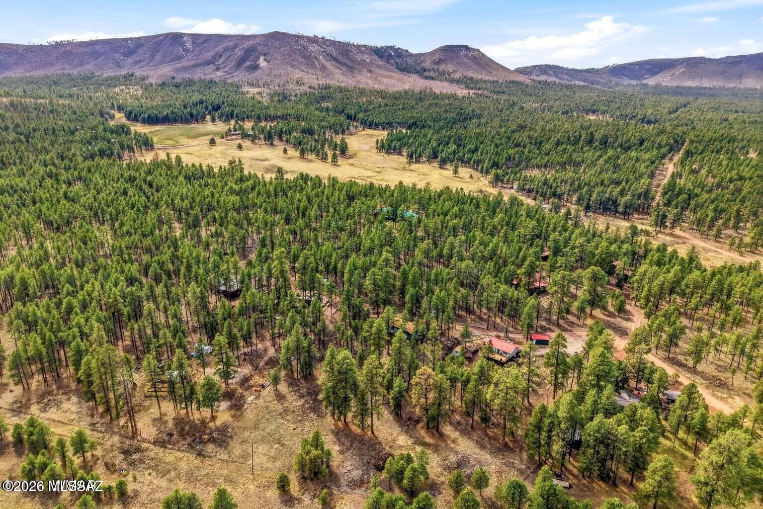 6 County Road 2148 Alpine, AZ 85920 - Photo 23 of 29 23