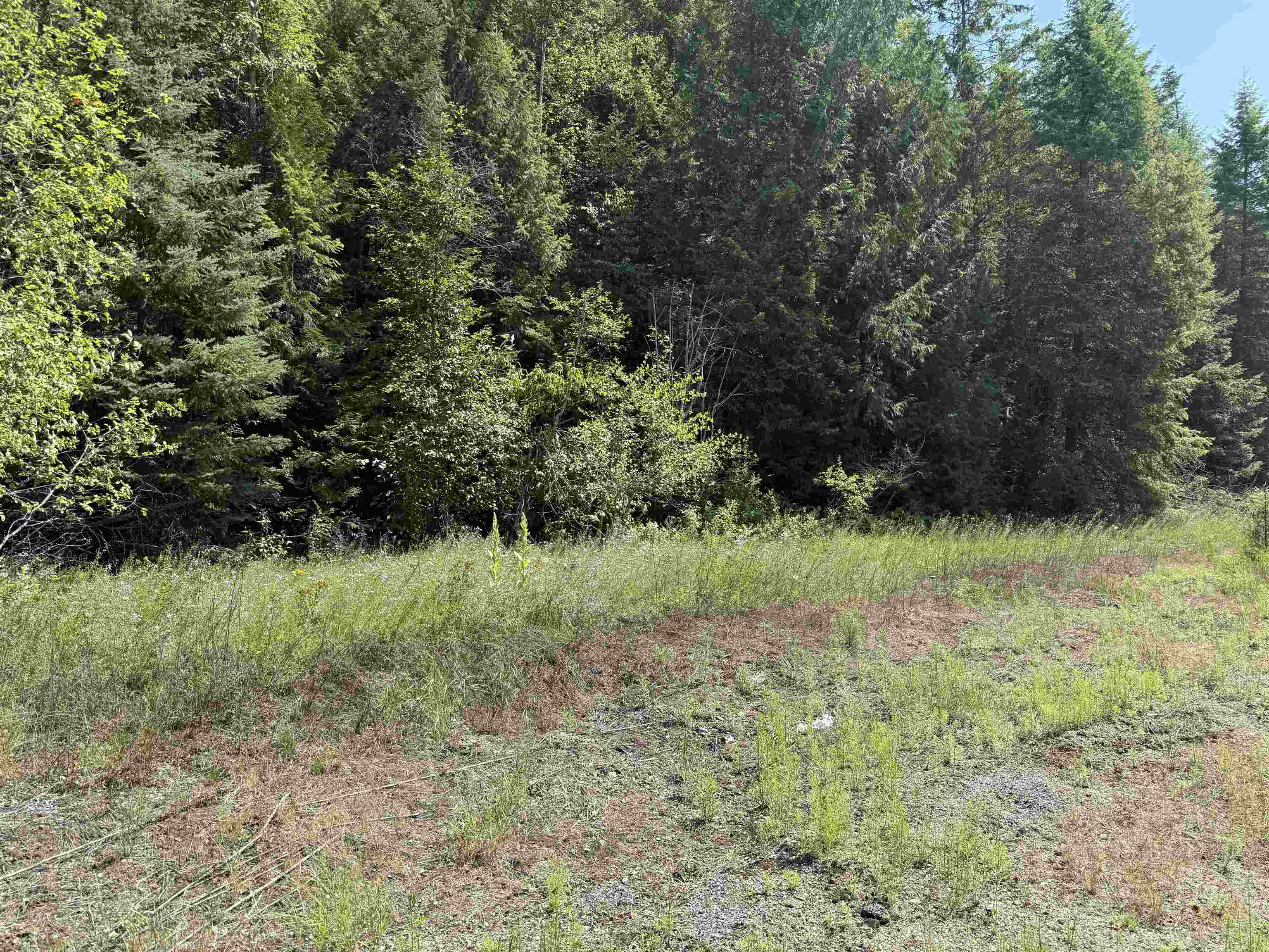 3516 Deep Lake Boundary Road Colville, WA 99114 - Photo 19 of 27 Gallery Image 19