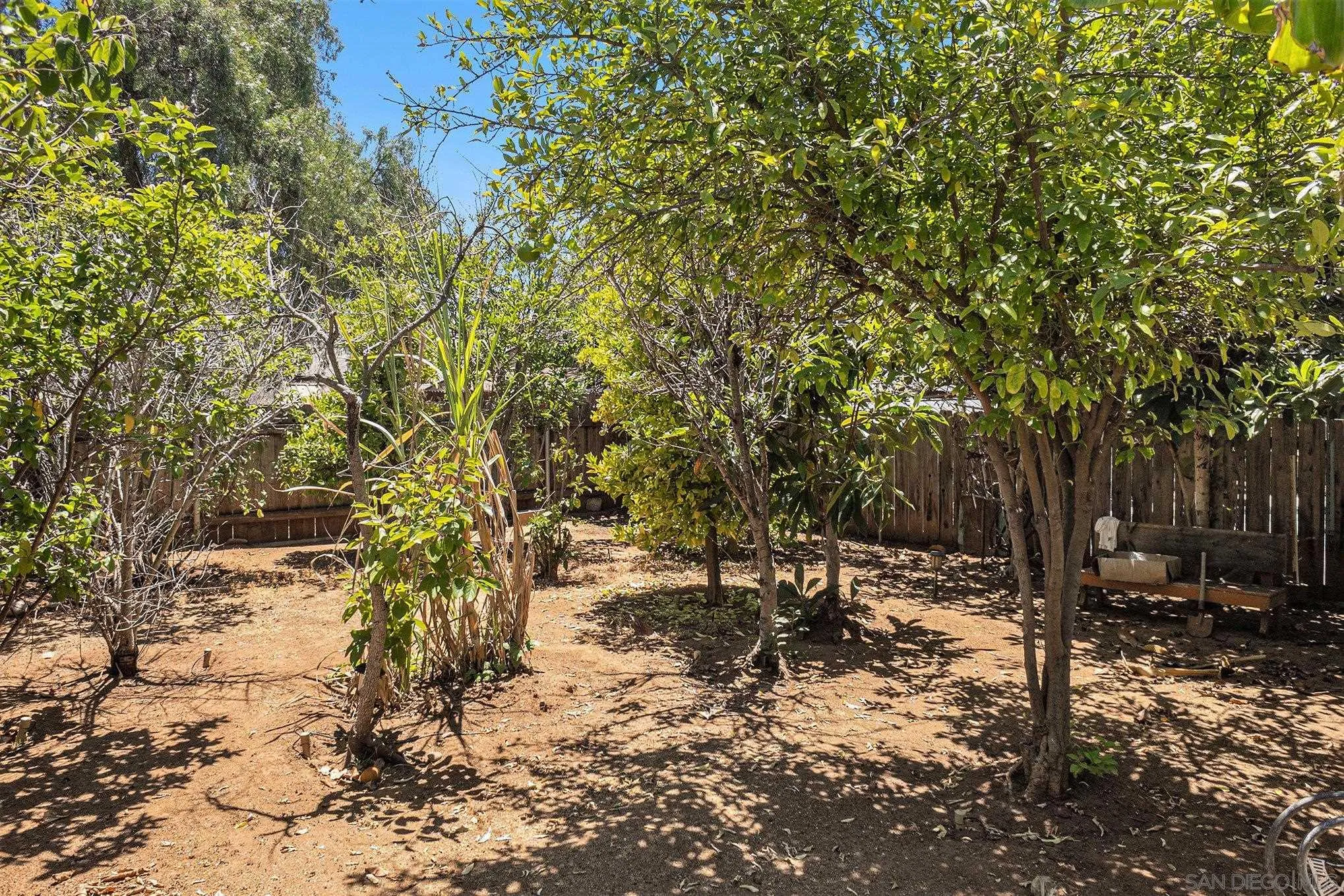 74 E Street Chula Vista, CA 91910 - Photo 17 of 56 a view of a forest filled with trees
