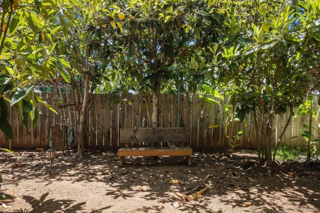 a view of a tree with a tree