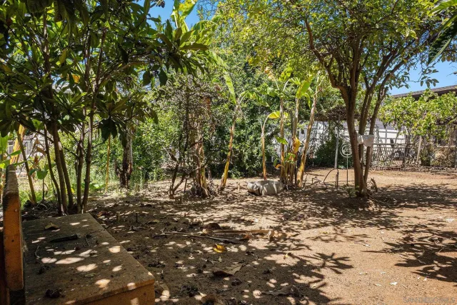 a view of a tree in front of a yard