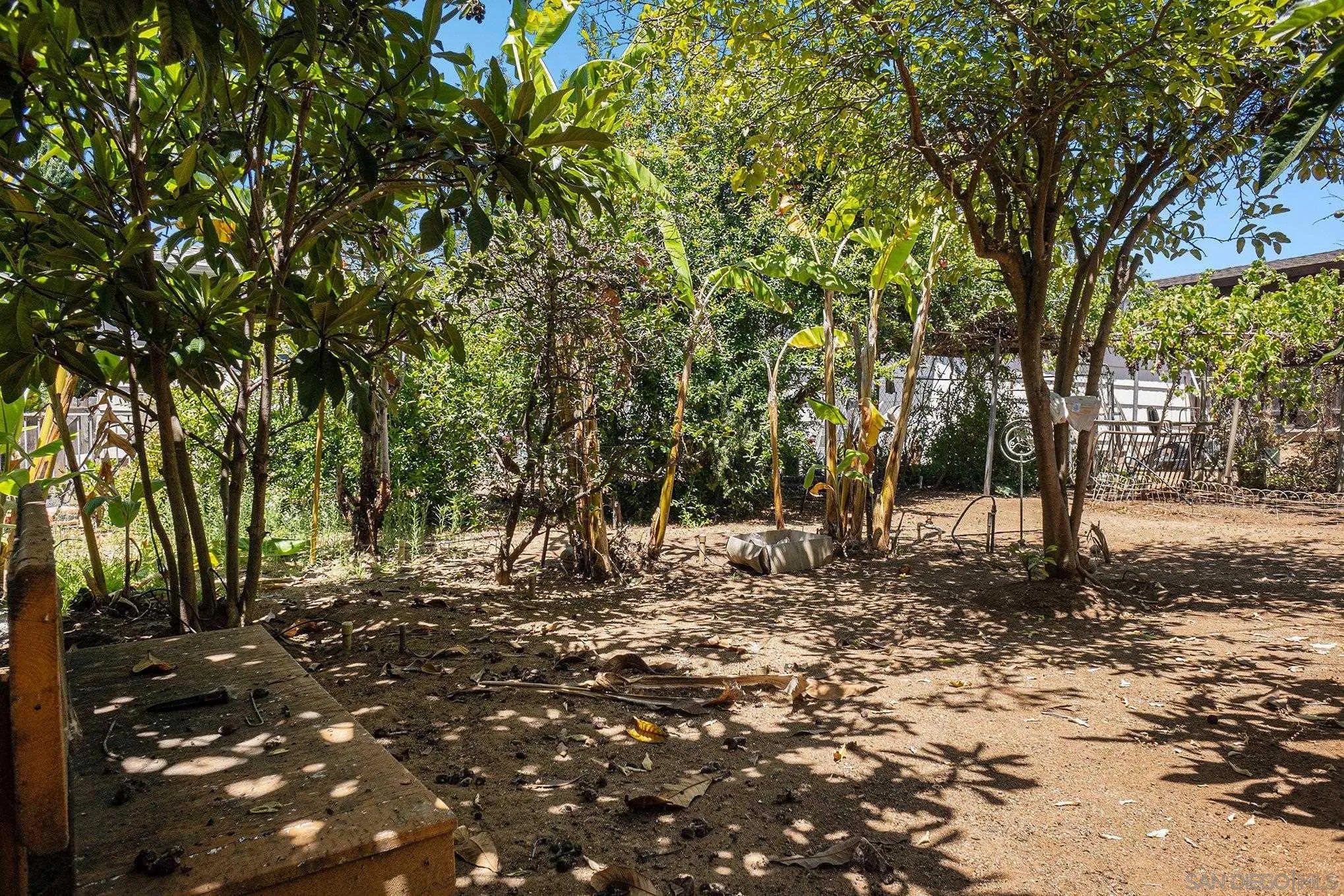 74 E Street Chula Vista, CA 91910 - Photo 19 of 56 a view of outdoor space with trees