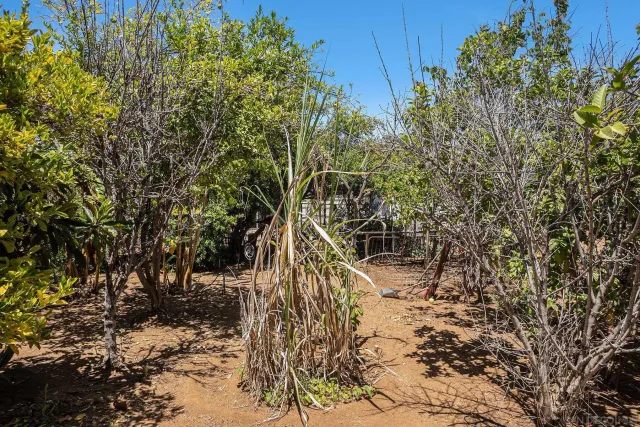 a view of a backyard with wooden fence