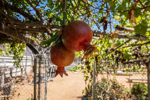 a view of a terrace with chairs