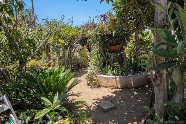 a view of a chairs and table in backyard