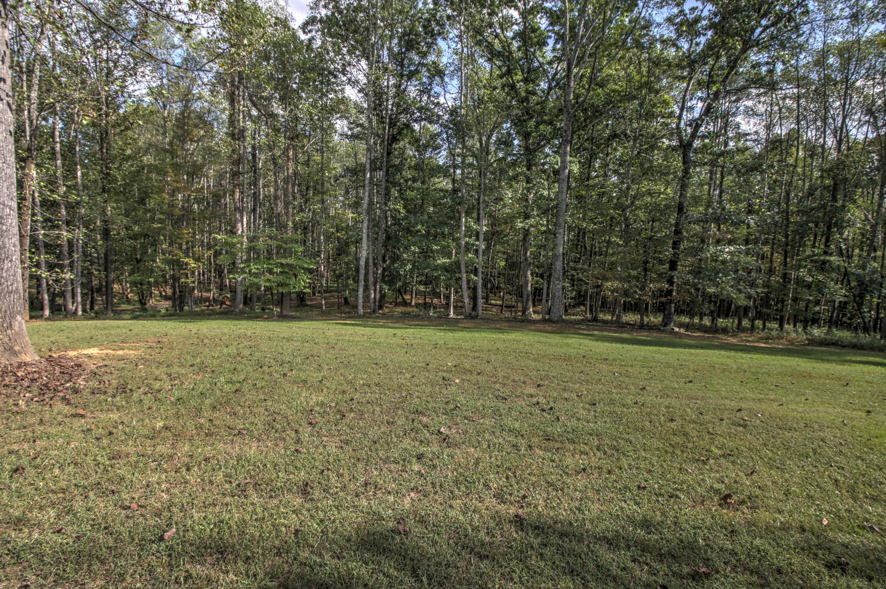 2058 Lees Gap Road Fincastle, VA 24090 - Photo 27 of 36 IMG_7029_30_31_32_33_34_35