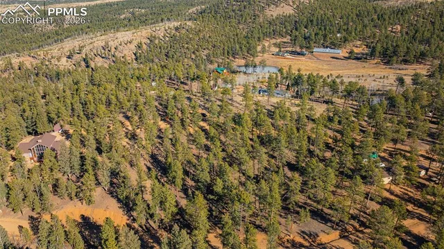 a view of a yard with some trees