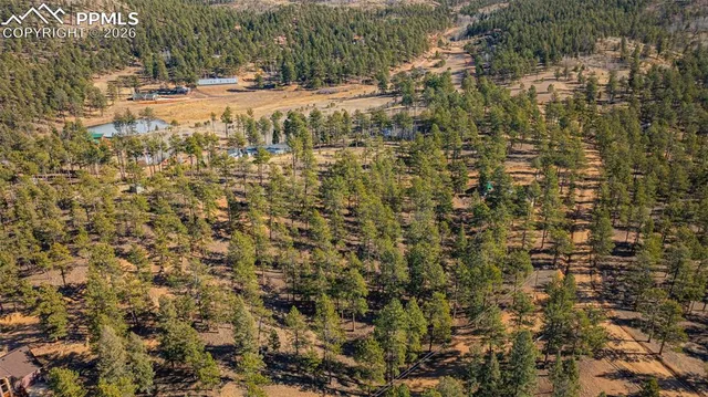 a view of a yard with some trees