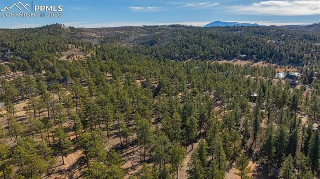 a view of a mountain in the distance in a field