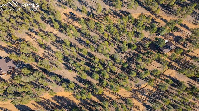 a view of a field with a tree