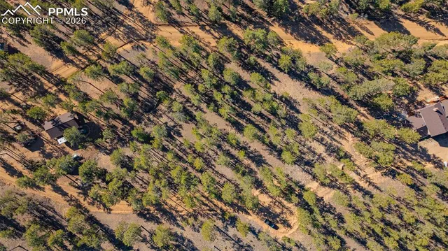 a view of an outdoor space with a tree