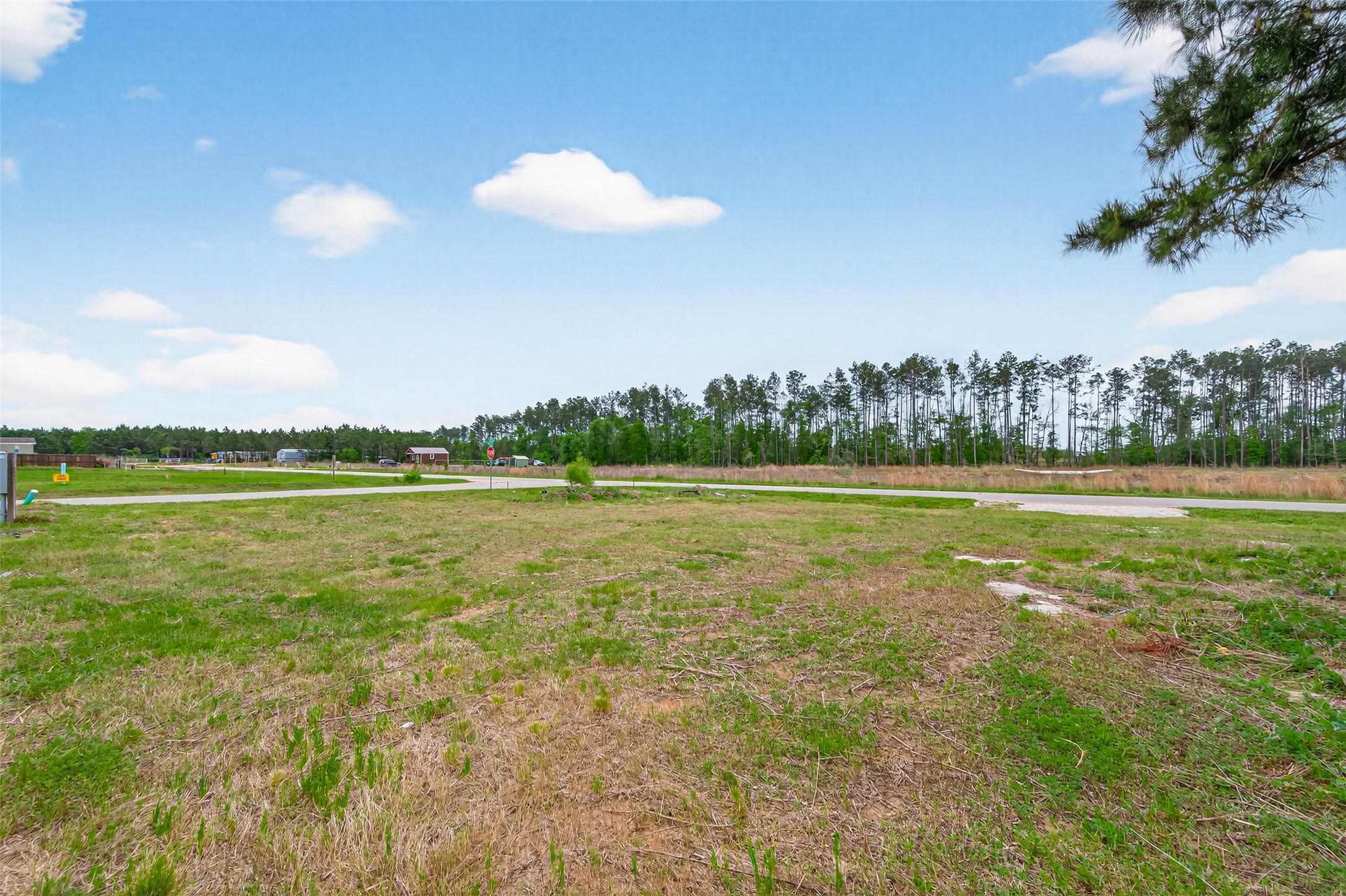 159 Road 5814 Cleveland, TX 77327 - Photo 4 of 12 a view of a lake with a big yard