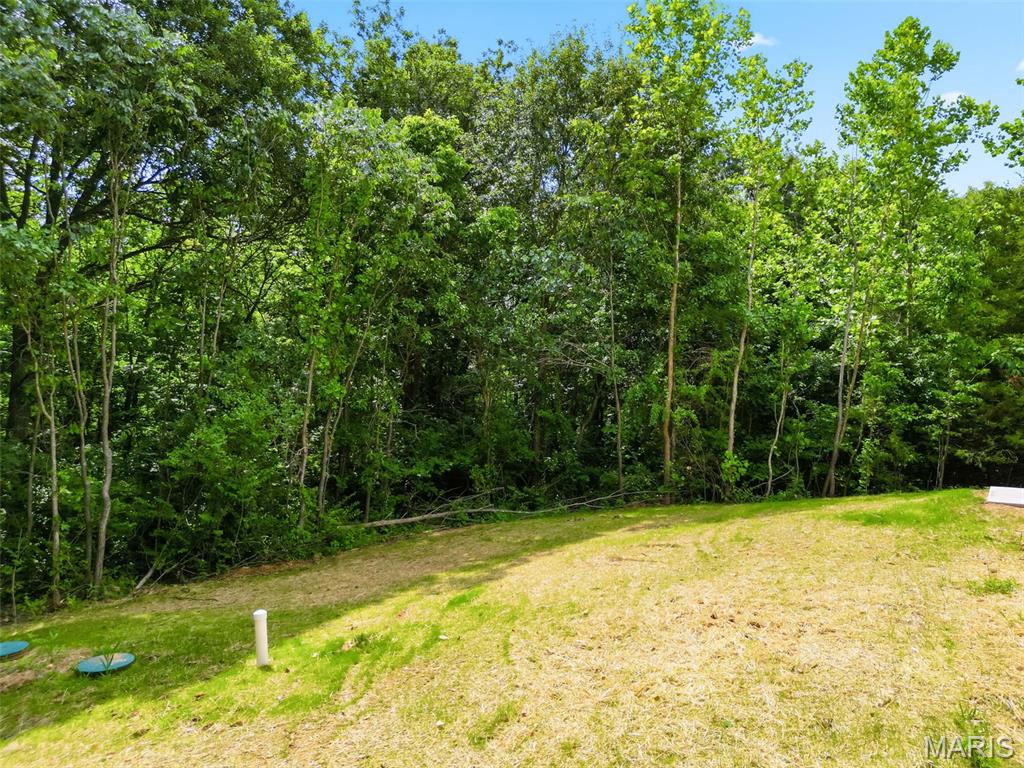 217 Red Mare Road Winfield, MO 63389 - Photo 43 of 59