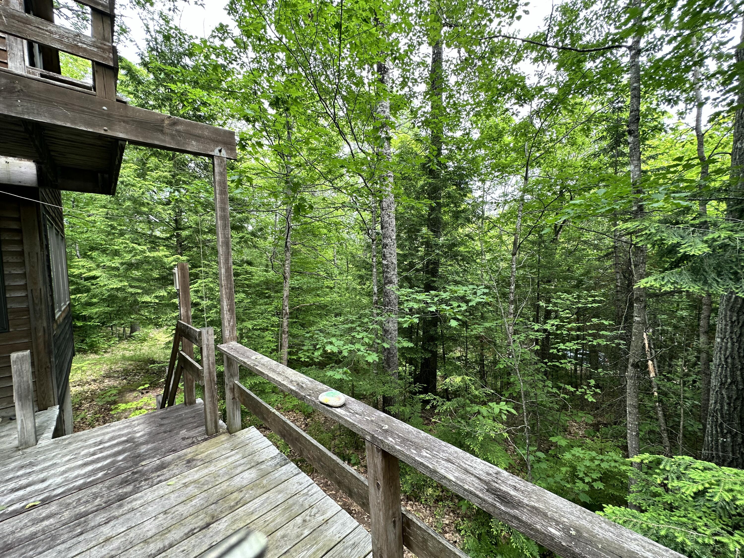 267 Tufts Pond Road Kingfield, ME 04947 - Photo 4 of 21 IMG_1220