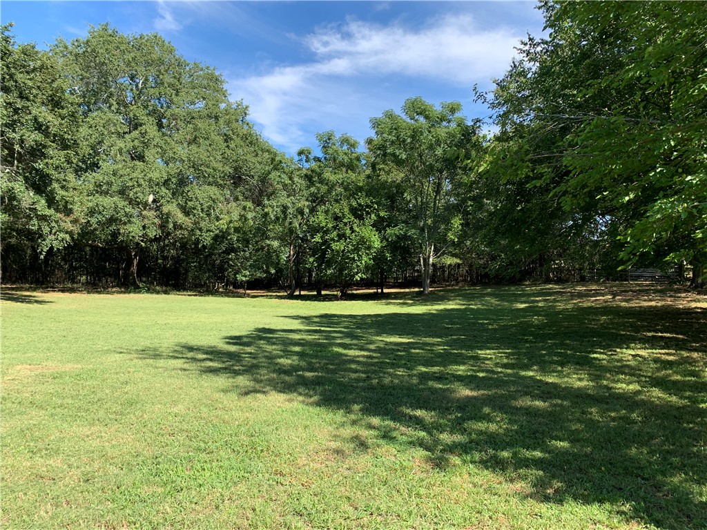 144 Old Asbury Road Anderson, SC 29625 - Photo 5 of 10 Mature trees frame a grassy lawn under clear blue skies.