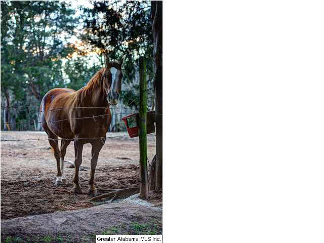 2840 Eastern Valley Road Leeds, AL 35094 - Photo 3 of 11