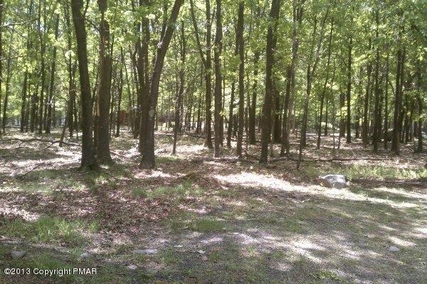 85 Huffman Circle Bushkill, PA 18324 - Photo 18 of 20 Yard