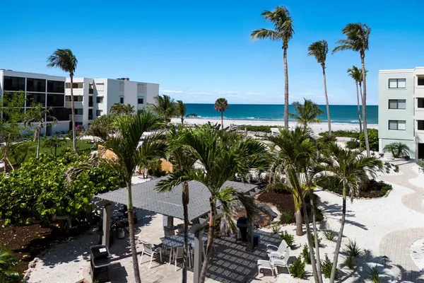 a view of a flower in a park