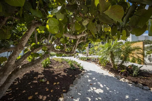 a view of a fountain with a big yard