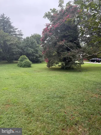 a view of a field of grass and trees