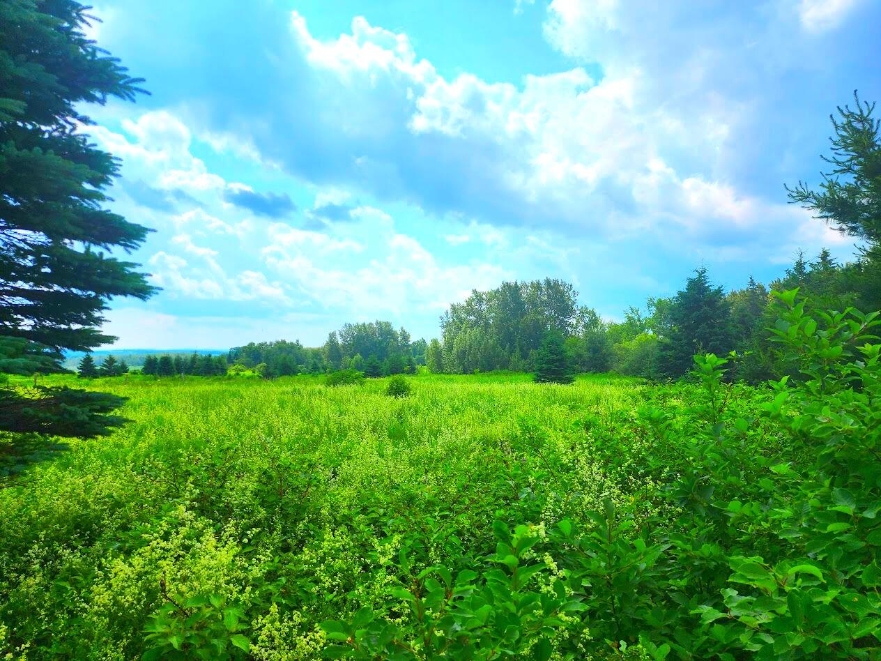 M11-l15 Noyes Road Limestone, ME 04750 - Photo 4 of 12 3