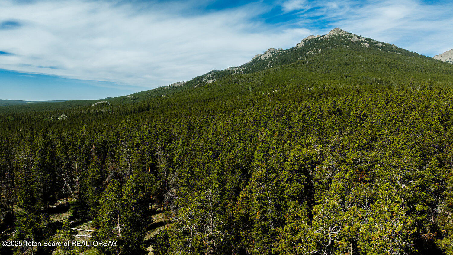 Hazelton Peak Ranch Buffalo, WY 82834 - Photo 11 of 79 010_dji_20250628100256_0502_d_342
