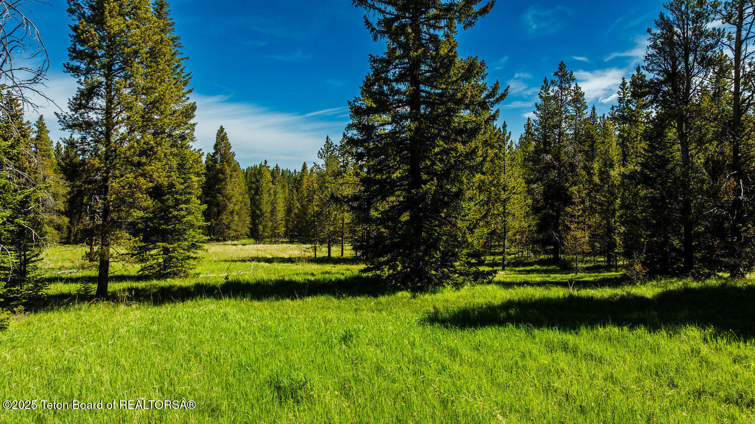 Hazelton Peak Ranch Buffalo, WY 82834 - Photo 20 of 79 019_dji_20250628102407_0521_d_493