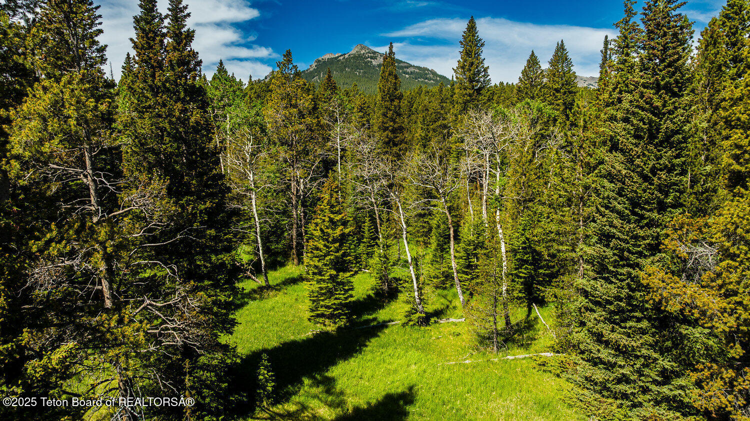 Hazelton Peak Ranch Buffalo, WY 82834 - Photo 21 of 79 020_dji_20250628102501_0523_d_415