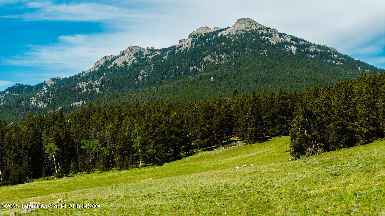 Hazelton Peak Ranch Buffalo, WY 82834 - Photo 49 of 79 049_dji_20250628111849_0592_d_783