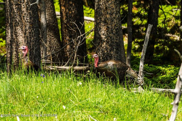 $5,750,000 | Hazelton Peak Ranch, Buffalo, WY 82834