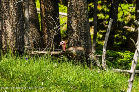 $5,750,000 | Hazelton Peak Ranch, Buffalo, WY 82834