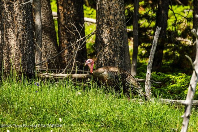$5,750,000 | Hazelton Peak Ranch, Buffalo, WY 82834