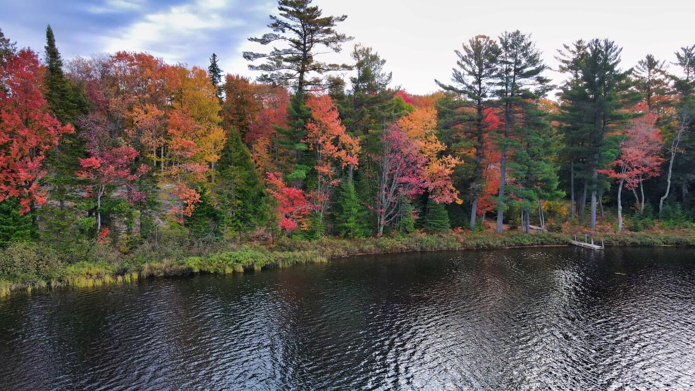2029 Carpenter Lake Road Seney, MI 49883 - Photo 21 of 35 Gallery Image 21