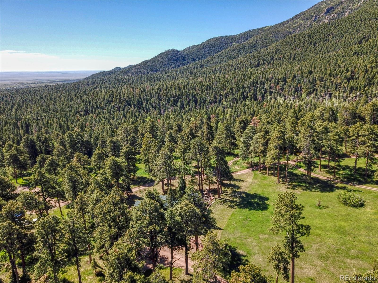 8555 Cuerna Verde Road Rye, CO 81069 - Photo 30 of 35 a view of a lush green forest with mountains in the background