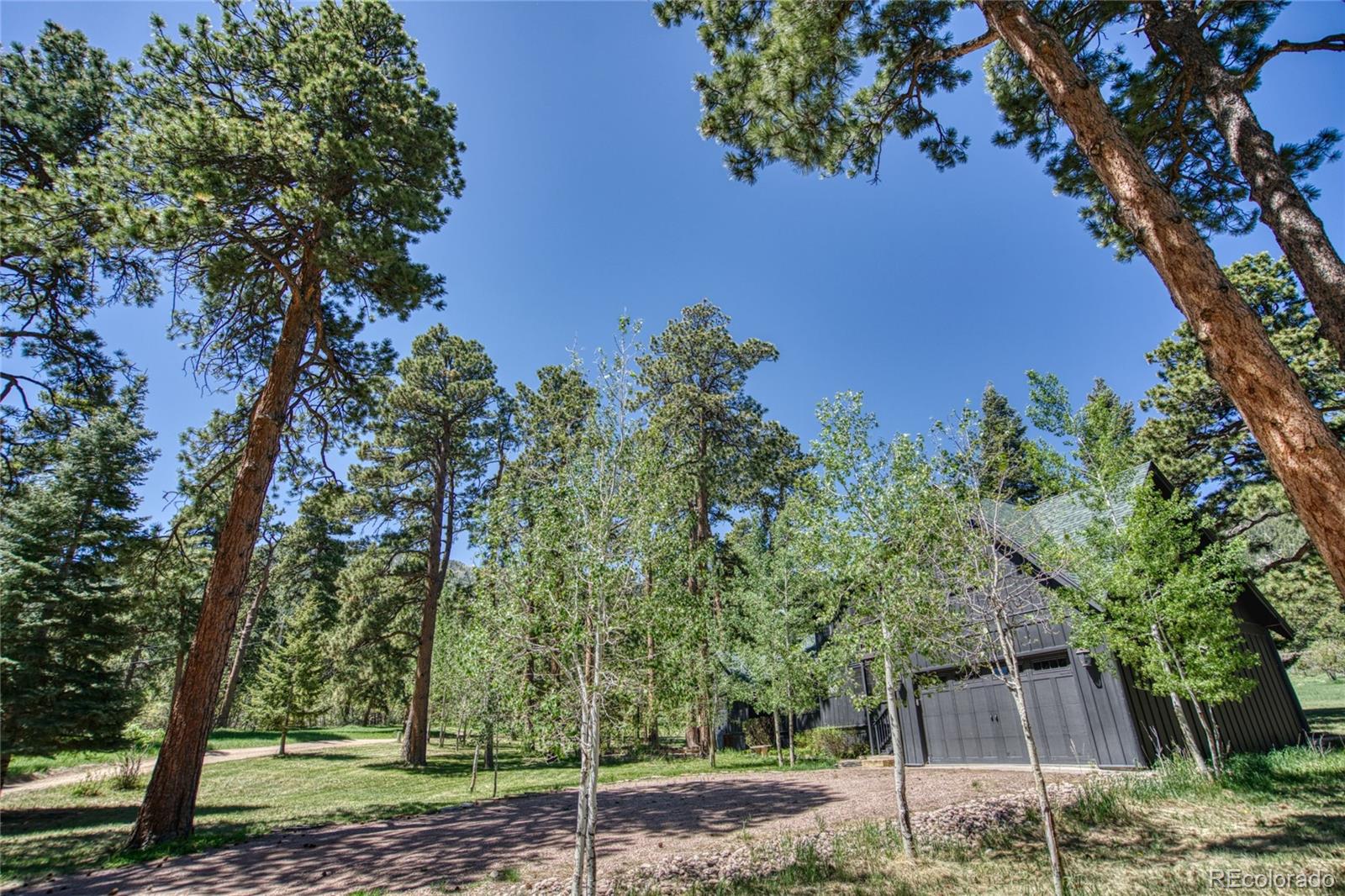 8555 Cuerna Verde Road Rye, CO 81069 - Photo 34 of 35 a backyard of a house with lots of trees