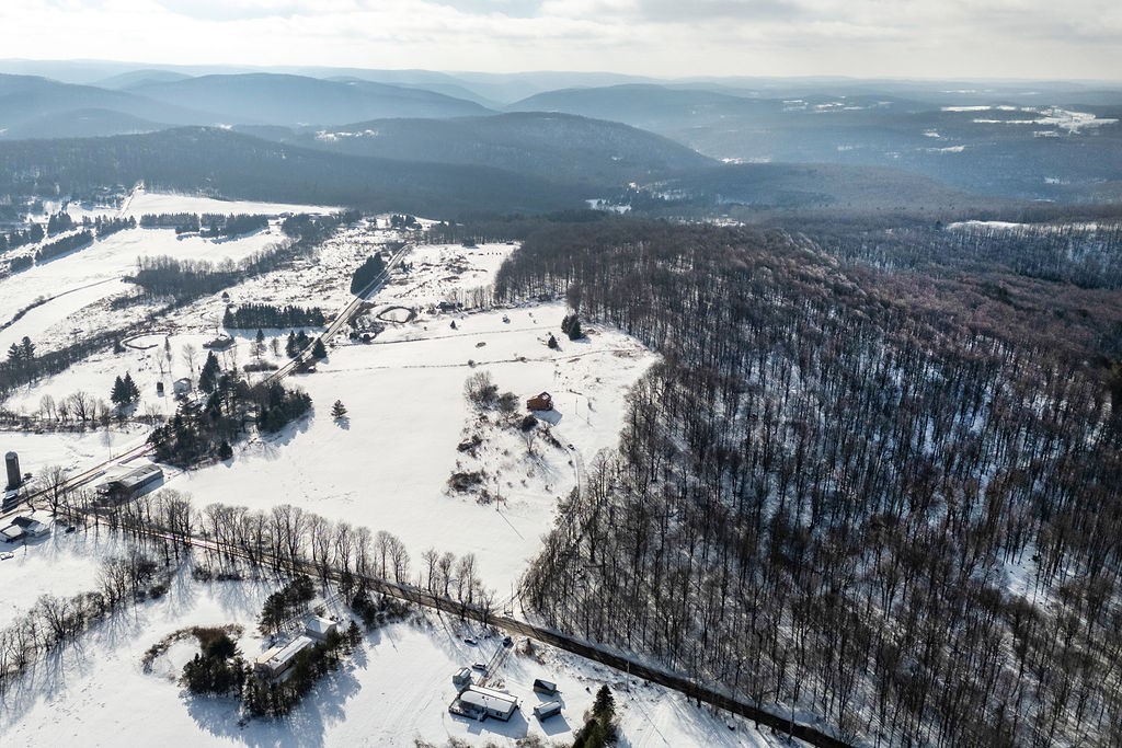 161 Ridge Road Hamden, NY 13782 - Photo 37 of 38