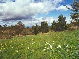 6323 Burnside Road Sebastopol, CA 95472 - Photo 8 of 9 Gallery Image 8