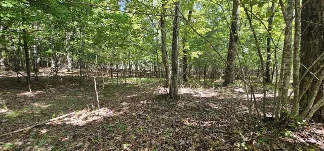 $70,000 | Lot 327 2 Lake Trail, Dunlap, TN 37327