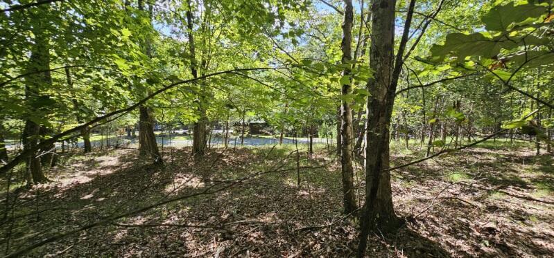 Lot 327 2 Lake Trail Dunlap, TN 37327 - Photo 2 of 13 image000001
