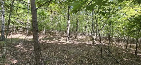 $70,000 | Lot 327 2 Lake Trail, Dunlap, TN 37327
