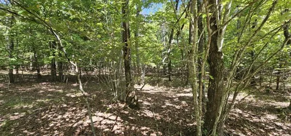 $70,000 | Lot 327 2 Lake Trail, Dunlap, TN 37327